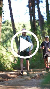 BIB:  <button type="button" onclick="openModal(26788048)" class="btn btn-primary btn-sm float-right" data-toggle="modal" data-target=".modal-high-quality">
                <i class="fa fa-download"></i> Download
                </button>